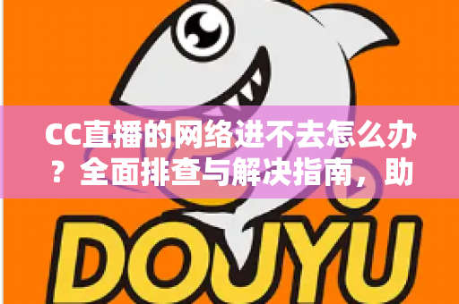 CC直播的网络进不去怎么办？全面排查与解决指南，助你快速恢复畅快观看体验