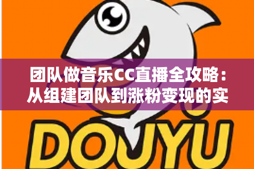 团队做音乐CC直播全攻略：从组建团队到涨粉变现的实战指南