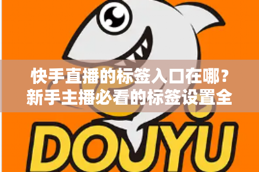 快手直播的标签入口在哪？新手主播必看的标签设置全攻略与上热门技巧