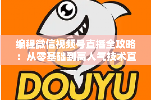 编程微信视频号直播全攻略：从零基础到高人气技术直播间的完整指南