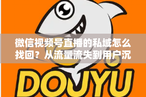 微信视频号直播的私域怎么找回?从流量流失到用户沉淀的全链路解决方案 微信视频号直播的私域怎么找回?从流量流失到用户沉淀的全链路解决方案