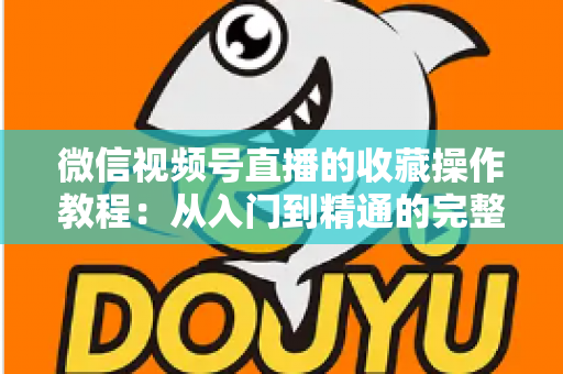 微信视频号直播的收藏操作教程：从入门到精通的完整指南，轻松收藏心仪直播不错过任何精彩内容