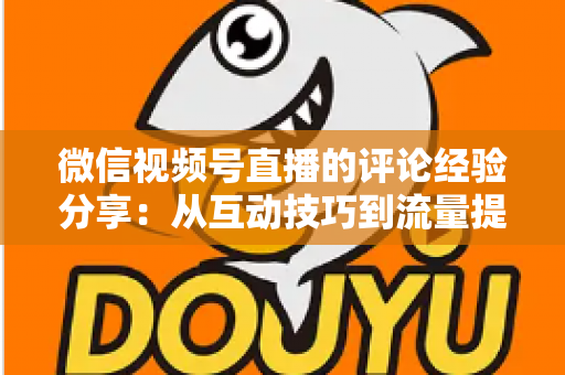 微信视频号直播的评论经验分享:从互动技巧到流量提升的完整实战指南 微信视频号直播的评论经验分享:从互动技巧到流量提升的完整实战指南