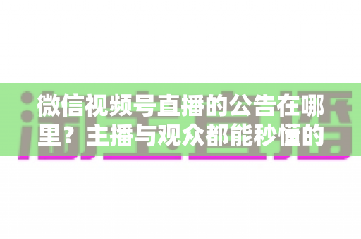 微信视频号直播的公告在哪里?主播与观众都能秒懂的查找与设置全攻略 微信视频号直播的公告在哪里?主播与观众都能秒懂的查找与设置全攻略