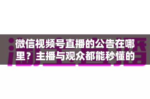 微信视频号直播的公告在哪里?主播与观众都能秒懂的查找与设置全攻略 微信视频号直播的公告在哪里?主播与观众都能秒懂的查找与设置全攻略