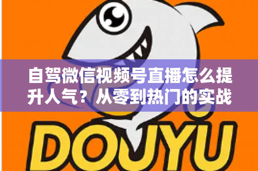 自驾微信视频号直播怎么提升人气？从零到热门的实战涨粉攻略