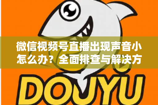 微信视频号直播出现声音小怎么办？全面排查与解决方法一站式指南