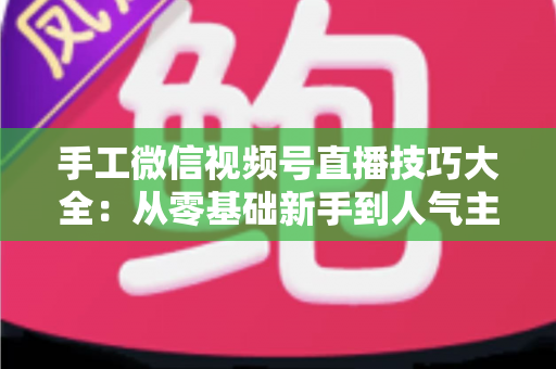 手工微信视频号直播技巧大全:从零基础新手到人气主播的实战通关指南 手工微信视频号直播技巧大全:从零基础新手到人气主播的实战通关指南