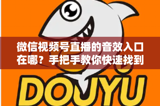 微信视频号直播的音效入口在哪?手把手教你快速找到音效功能,轻松打造高人气直播间 微信视频号直播的音效入口在哪?手把手教你快速找到音效功能,轻松打造高人气直播间