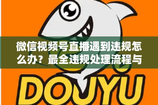 微信视频号直播遇到违规怎么办？最全违规处理流程与预防指南，助您安心开播