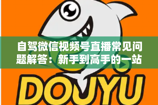 自驾微信视频号直播常见问题解答：新手到高手的一站式实战指南