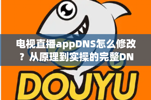 电视直播appDNS怎么修改?从原理到实操的完整DNS设置指南,助你畅享流畅直播体验 电视直播appDNS怎么修改?从原理到实操的完整DNS设置指南,助你畅享流畅直播体验